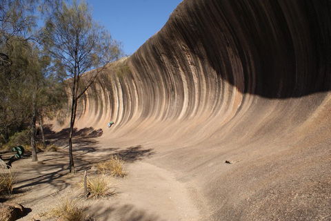 Wave Rock And Pinnacles Air & Ground Tour - Timeshare Accommodation 5