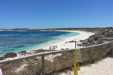 Wave Rock, Pinnacles And Rottnest One Day Aeroplane Tour - Timeshare Accommodation 2