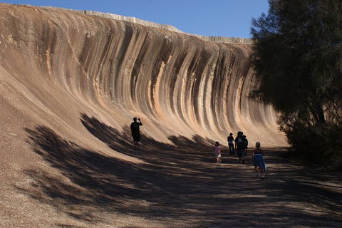 Wave Rock, Pinnacles And Rottnest One Day Aeroplane Tour - Timeshare Accommodation 4