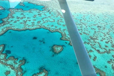 Whitsunday Islands 1-Hour Reef Scenic Helicopter Tour - Timeshare Accommodation 3