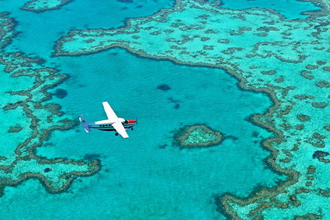 Fly & Sail Package (With Providence) - Timeshare Accommodation 4