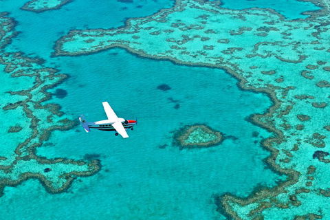 Reef And Island Scenic Flight From Airlie Beach - Timeshare Accommodation 4