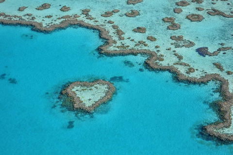 Reef And Island Scenic Flight From Airlie Beach - Timeshare Accommodation 5