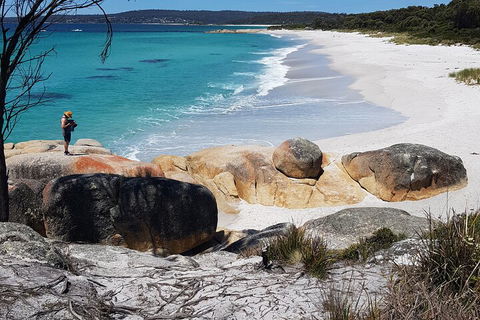 2-Day Tas East Coast Escape Tour Including Bay Of Fires, Wineglass Bay & Devils - Timeshare Accommodation 4
