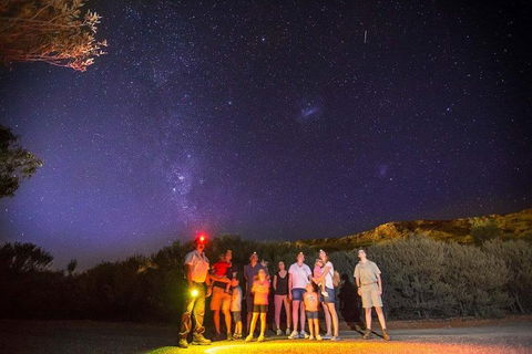 Alice Springs Desert Park Nocturnal Tour - Timeshare Accommodation 2