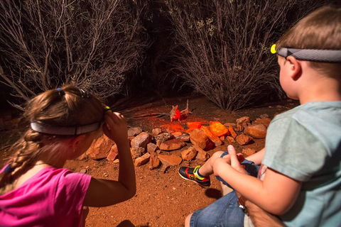 Alice Springs Desert Park Nocturnal Tour - Timeshare Accommodation 4