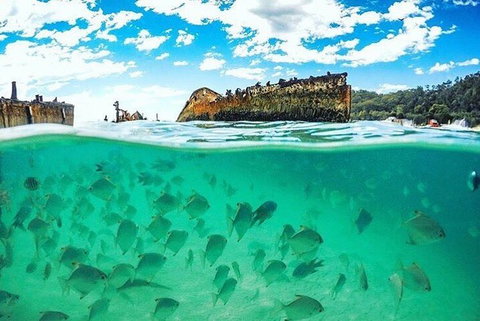 Adventure Moreton Island Day Pass - Timeshare Accommodation 4