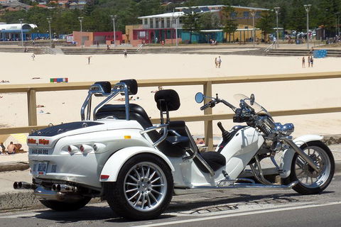 Sydney Six Beaches Trike Tour - Timeshare Accommodation 1
