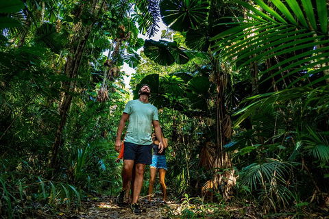 Full Day Daintree Rainforest And Mossman Gorge Tour - Timeshare Accommodation 0