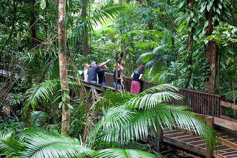 Full Day Daintree Rainforest And Mossman Gorge Tour - Timeshare Accommodation 1