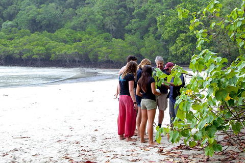 Full Day Daintree Rainforest And Mossman Gorge Tour - Timeshare Accommodation 2