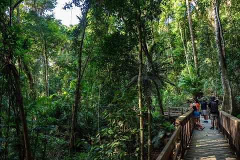 Full Day Daintree Rainforest And Mossman Gorge Tour - Timeshare Accommodation 5