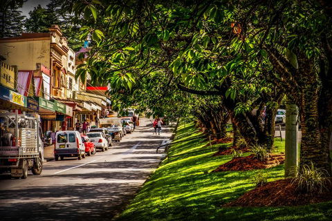 Fully Inclusive Blue Mountains Private Tour Inc Scenic World & Featherdale Entry - Timeshare Accommodation 0