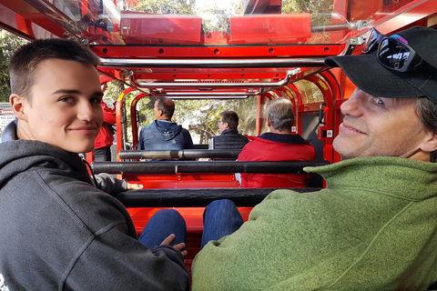 Fully Inclusive Blue Mountains Private Tour Inc Scenic World & Featherdale Entry - Timeshare Accommodation 1