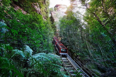 Fully Inclusive Blue Mountains Private Tour Inc Scenic World & Featherdale Entry - Timeshare Accommodation 4