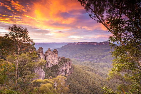Fully Inclusive Blue Mountains Private Tour Inc Scenic World & Featherdale Entry - Timeshare Accommodation 5