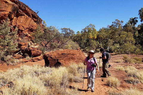 Palm Valley And Hermannsburg 1 Day 4WD Tour - Timeshare Accommodation 1