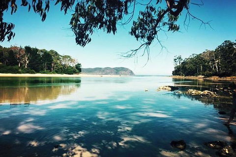 Full-Day Guided Bruny Island Tour From Hobart - Timeshare Accommodation 1