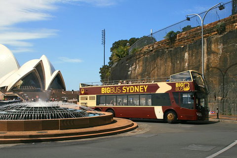 Big Bus Sydney And Bondi Hop-on Hop-off Tour - Timeshare Accommodation 3