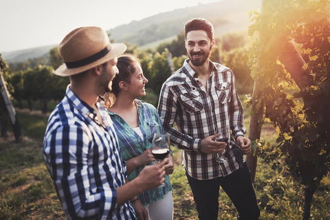Full Day Mount Tamborine Winery Tour From Gold Coast - Timeshare Accommodation 5