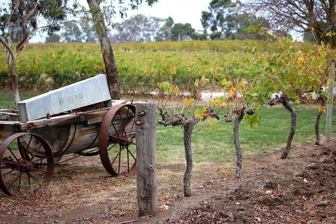 Maggie Beer Farm - Barossa Valley Regional Tour - Timeshare Accommodation 1