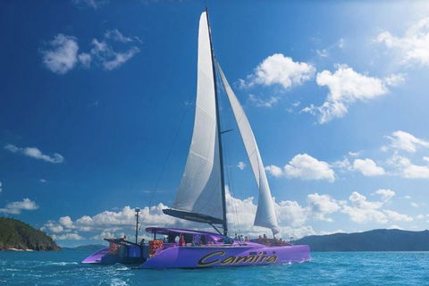 Whitsunday Islands Sailing Adventure - Timeshare Accommodation 3