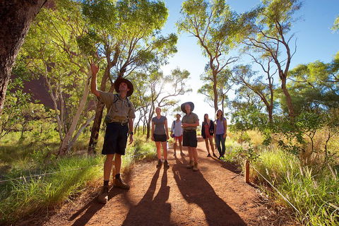 Uluru Small Group Tour Including Sunset - Timeshare Accommodation 0