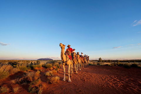 Uluru Small-Group Tour By Camel At Sunrise Or Sunset - Timeshare Accommodation 3