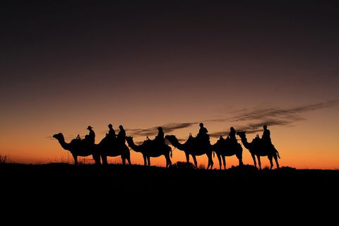 Uluru Small-Group Tour By Camel At Sunrise Or Sunset - Timeshare Accommodation 4