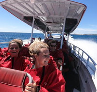 Adventure Rottnest Tour with Ferry  Adventure Cruise from Perth or Fremantle - Timeshare Accommodation