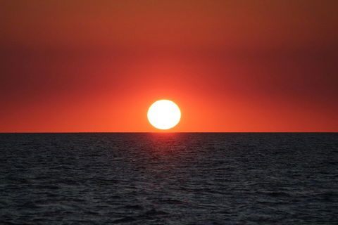 Roebuck Bay Snubfin Dolphin Cruise - Timeshare Accommodation 3