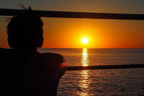 Roebuck Bay Snubfin Dolphin Cruise - Timeshare Accommodation 4