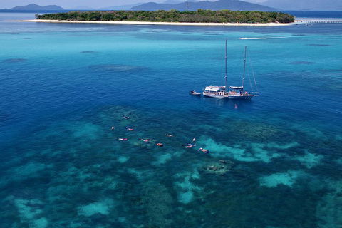 Ocean Free Green Island & Great Barrier Reef Snorkel Cruise, Cairns 25 Guests - Timeshare Accommodation 2