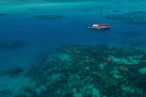 Ocean Free Green Island & Great Barrier Reef Snorkel Cruise, Cairns 25 Guests - Timeshare Accommodation 5