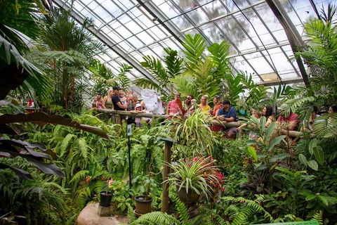 Australian Butterfly Sanctuary - Timeshare Accommodation 0