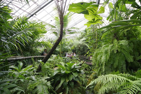 Australian Butterfly Sanctuary - Timeshare Accommodation 3