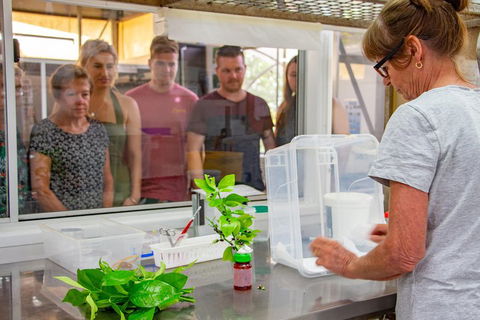 Australian Butterfly Sanctuary - Timeshare Accommodation 5