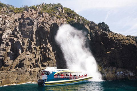 Full-Day Bruny Island Cruises Day Tour From Hobart - Timeshare Accommodation 4