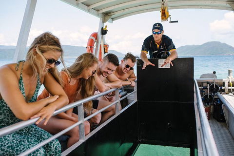 Fitzroy Island Day Trip From Cairns - Timeshare Accommodation 4