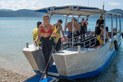 Fitzroy Island Day Trip From Cairns - Timeshare Accommodation 5