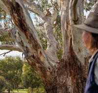 NEW TOUR - Kangaroo Island Road to Recovery Tour 1 Day/1 Night - Timeshare Accommodation