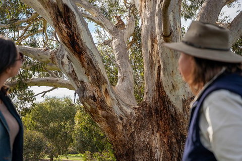 NEW TOUR - Kangaroo Island Road To Recovery Tour (1 Day/1 Night) - Timeshare Accommodation 0