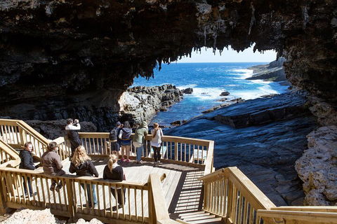Full Day Flinders Chase Tour From Kangaroo Island - Timeshare Accommodation 1