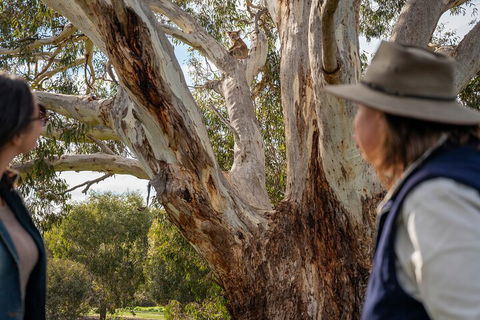 Full Day Flinders Chase Tour From Kangaroo Island - Timeshare Accommodation 5