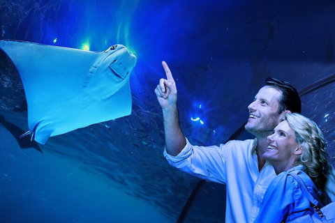 Cairns Aquarium Tour By Twilight With Drink And Appetiser - Timeshare Accommodation 4