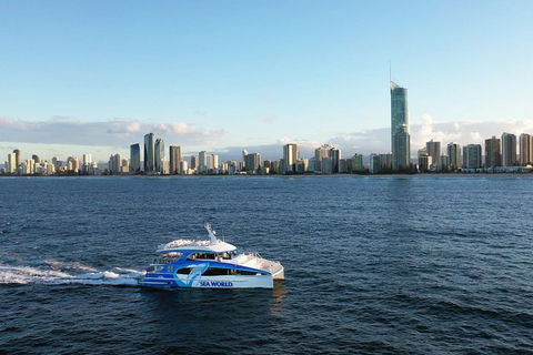 Whale Watching By Sea World Cruises - Timeshare Accommodation 1