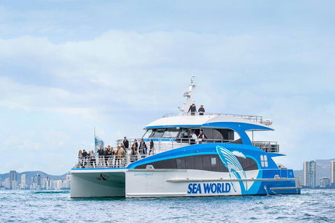Whale Watching By Sea World Cruises - Timeshare Accommodation 3