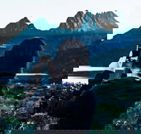 Cradle Mountain Park Explorer Guided Tour - Timeshare Accommodation