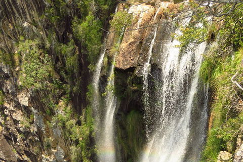 Beyond Byron Hinterland Tour - Timeshare Accommodation 5