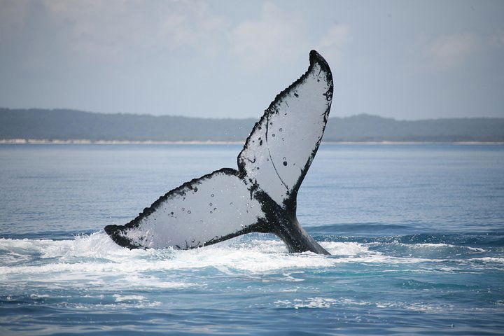 Takura QLD Timeshare Accommodation